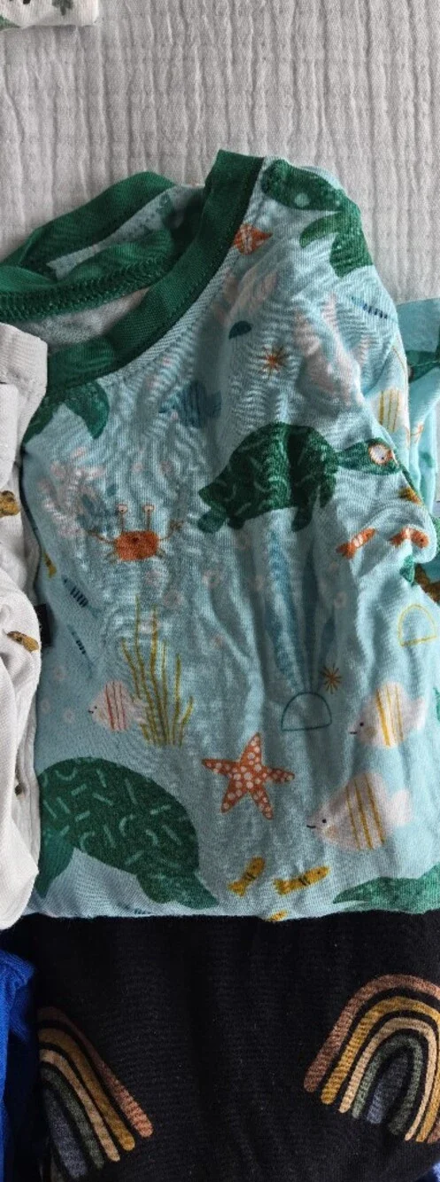 Little Sleepies Long Sleeve Pajama Set in Sea Turtle Friends — 3T | EUC